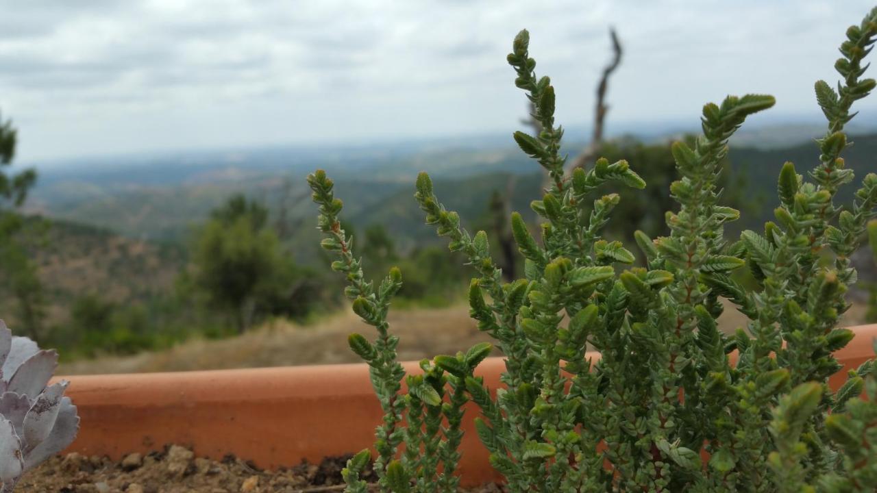 Casa Atman Pension Monchique Buitenkant foto